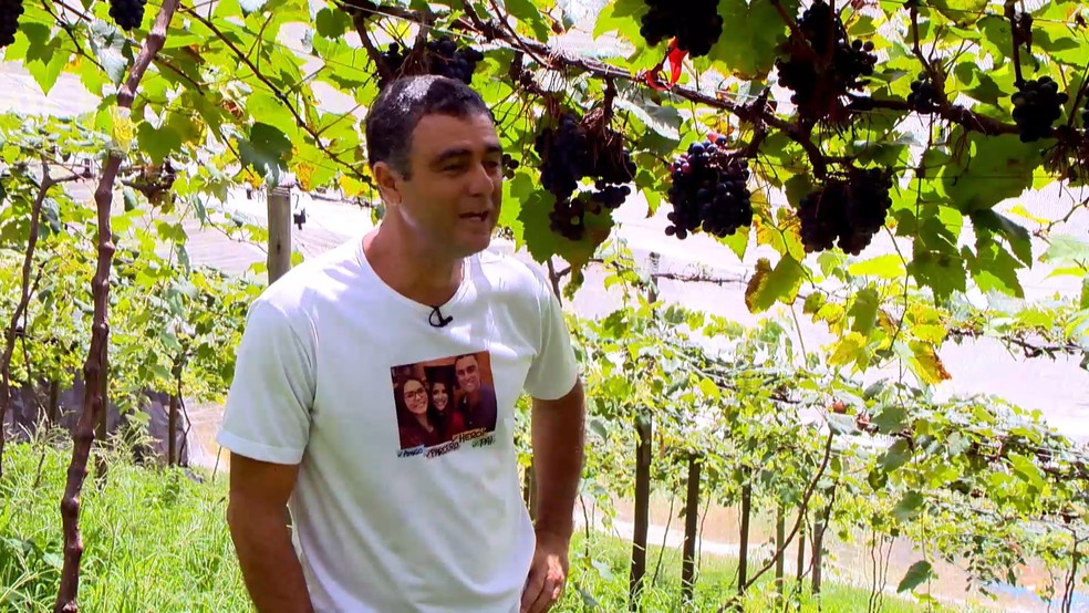 Produtor rural de Guarapari, ES, Emerson Rabelo Souza, tem uma plantão de 400 pés de uvas. — Foto: Reprodução/TV Gazeta
