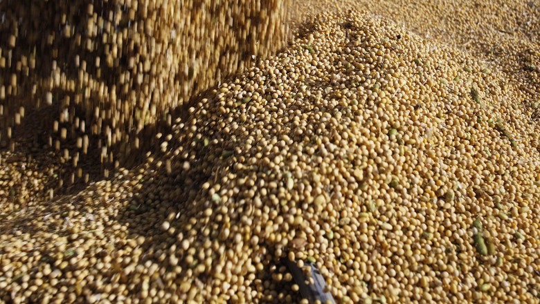 soja-colheita-grão-luís-eduardo-magalhães-bahia (Foto: Jonathan campos/Gazeta do Povo)