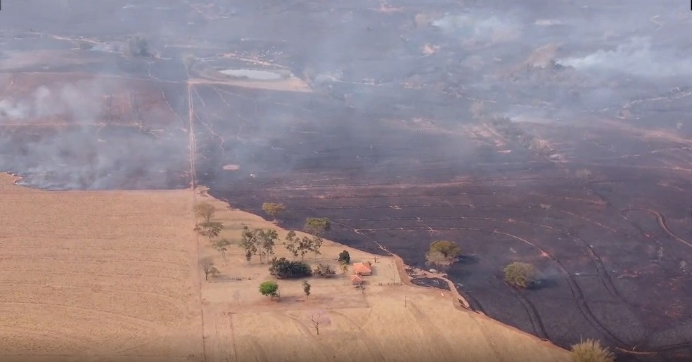 Incêndio em vegetação mobiliza Corpo de Bombeiros em Presidente Venceslau — Foto: Reprodução/Henrique Rinho 
