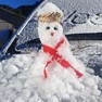 Foto: (Boneco de neve feito em 2020 por Legnaghi / Mycchel Legnaghi/ Divulgação )