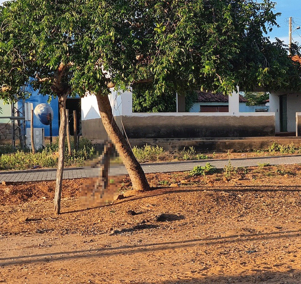 Idoso mata cadela enforcada em praça pública no Sul do Piauí — Foto: Divulgação/Policia Civil