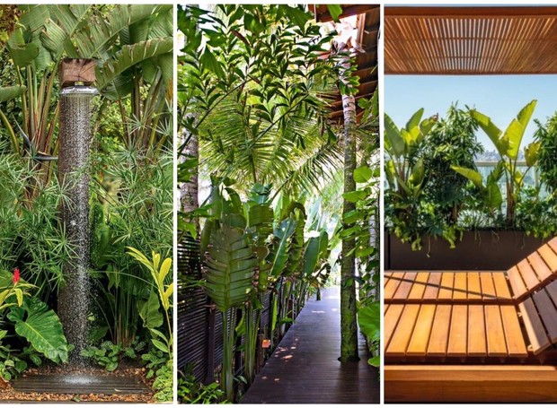 Combine folhagens com diferentes tons, texturas e tamanhos para um autêntico jardim tropical (Foto: Divulgação)