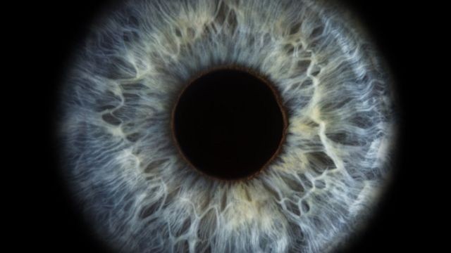 bbc olho humano (Foto: GETTY IMAGES (via BBC))