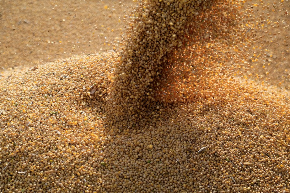 Safra brasileira de soja teve quebra por causa do clima e colheita está atrasada