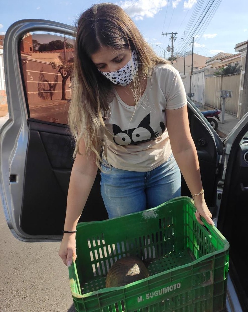 Fisioterapeuta Joisyany Ceber Anselmi ajudou a salvar tatu — Foto: Joisyany Ceber Anselmi/Cedida