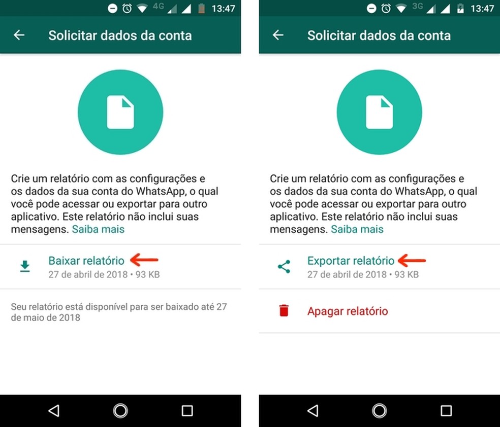 Relatório com dados da conta do WhatsApp pronto para ser baixado (Foto: Reprodução/Raquel Freire)