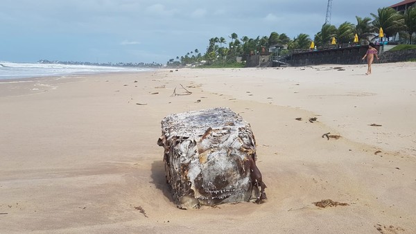 Fardo apareceu na Praia do Cupe, em Ipojuca, em junho deste ano — Foto: Clemente Junior