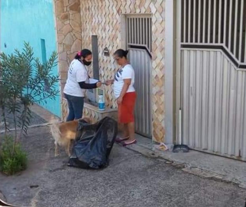Pesquisa reúne dados detalhados de caninos e felinos espalhados por 63 bairros da cidad — Foto: Divulgação/ Prefeitura de Nova Odessa