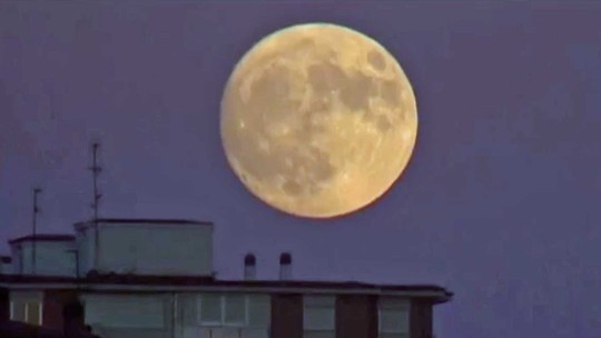 Foto: (Reprodução / G1)