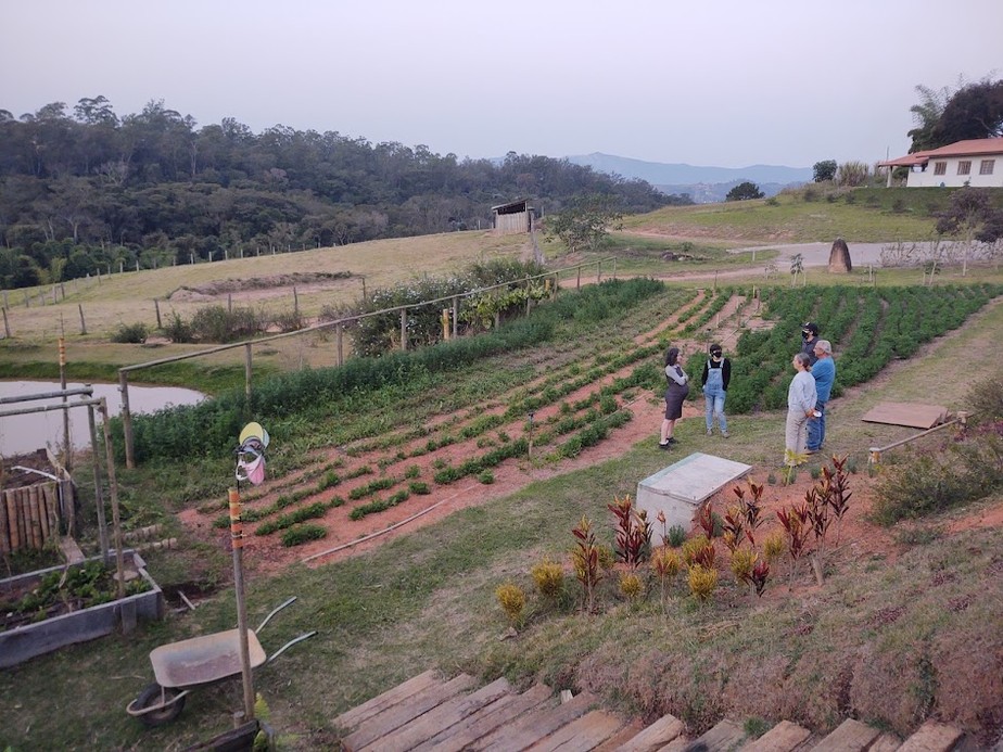Vida coletiva: horta comunitária na Comunidade Fraternidade, em Atibaia.