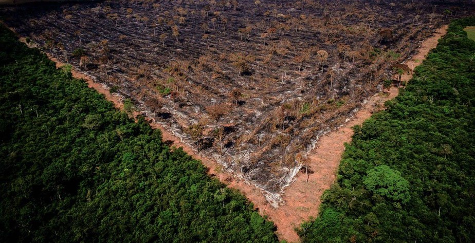 Desmatamento na Amazônia se mantém acima de 8.500 km² em 12 meses, diz Inpe