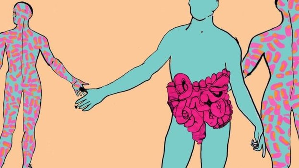 A maior parte dos nossos microbiomas vivem no intestino — Foto: BBC