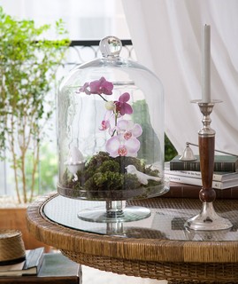 O arranjo com orquídeas e musgos, da Bothanica Paulista, aparece dentro da campânula de vidro 