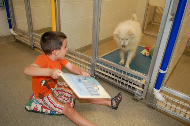 Crianças lendo para cachorros traumatizados (Foto: Reprodução)