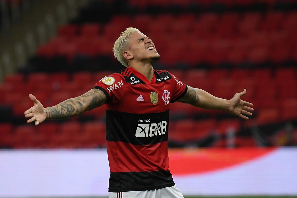 Pedro participa de um gol a cada 104 minutos pelo Flamengo — Foto: André Durão / ge