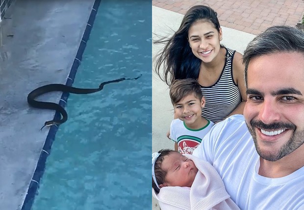 Kaká Diniz mostra cobra na piscina de mansão da família nos EUA (Foto: Reprodução/Instagram)