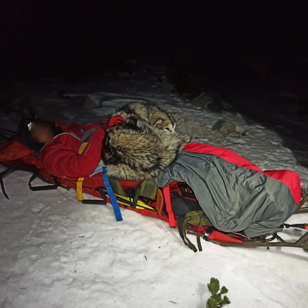 O filhote de cachorro protegeu o montanhista até que a equipe de montanhistas chegassem ao local do acidente (Foto: @gss_hrvatska/ Instagram/ Reprodução)