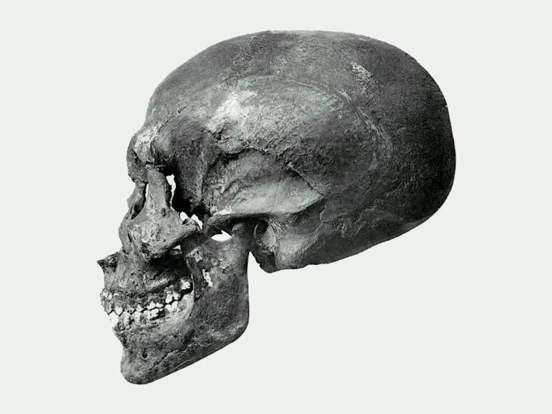 O crânio da múmia  KV 55, que serviu para reconstituir o faraó Akhenaton (Foto: Wikimedia Commons )