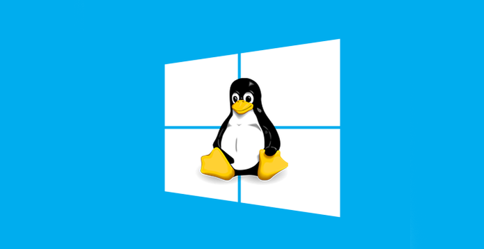 Windows lança sistema de gestão de datacenter baseado em Linux (Foto: Arte/Paulo Alves) (Foto: Windows lança sistema de gestão de datacenter baseado em Linux (Foto: Arte/Paulo Alves))