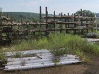 Obra parada do Ginásio Melãozinho segue sem solução em Varginha, MG