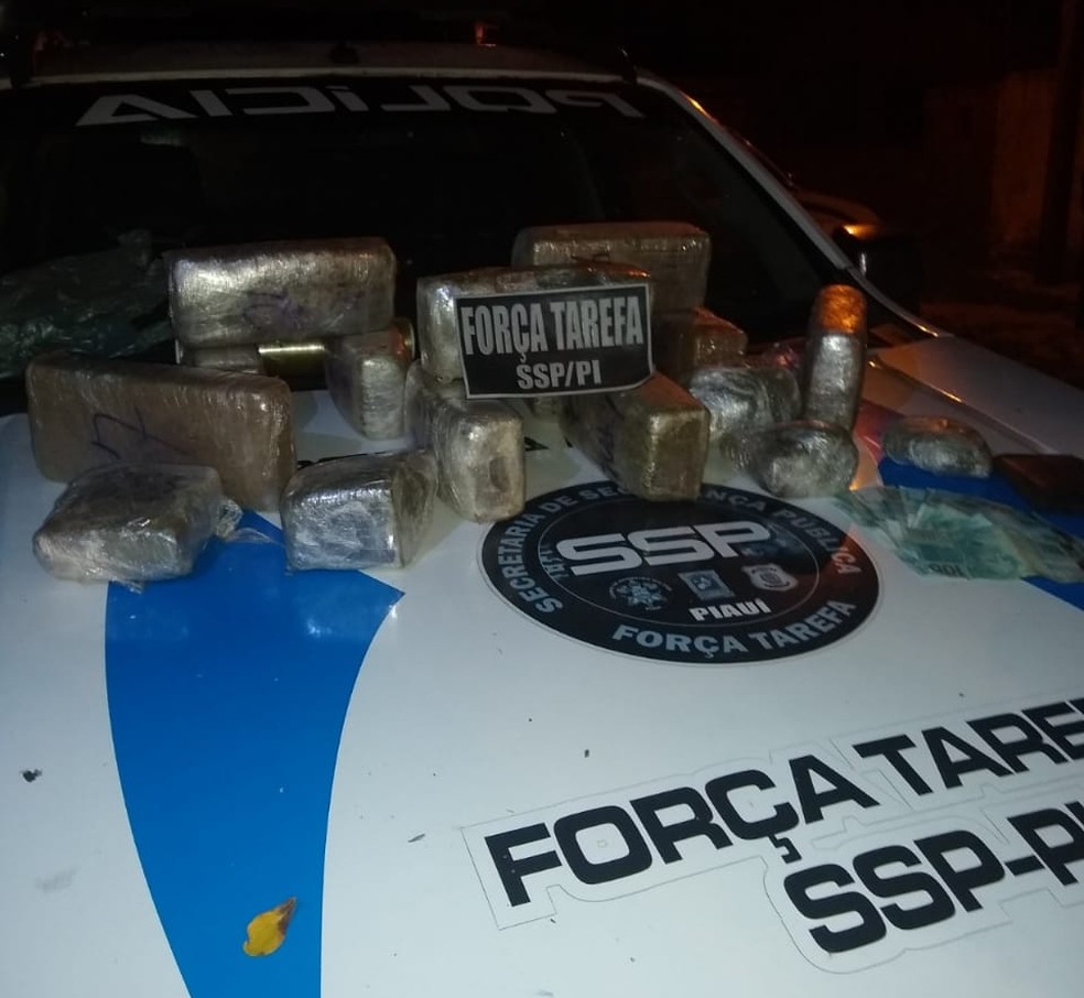 Droga apreendida durante ação da Força Tarefa em Teresina — Foto: Divulgação/SSP