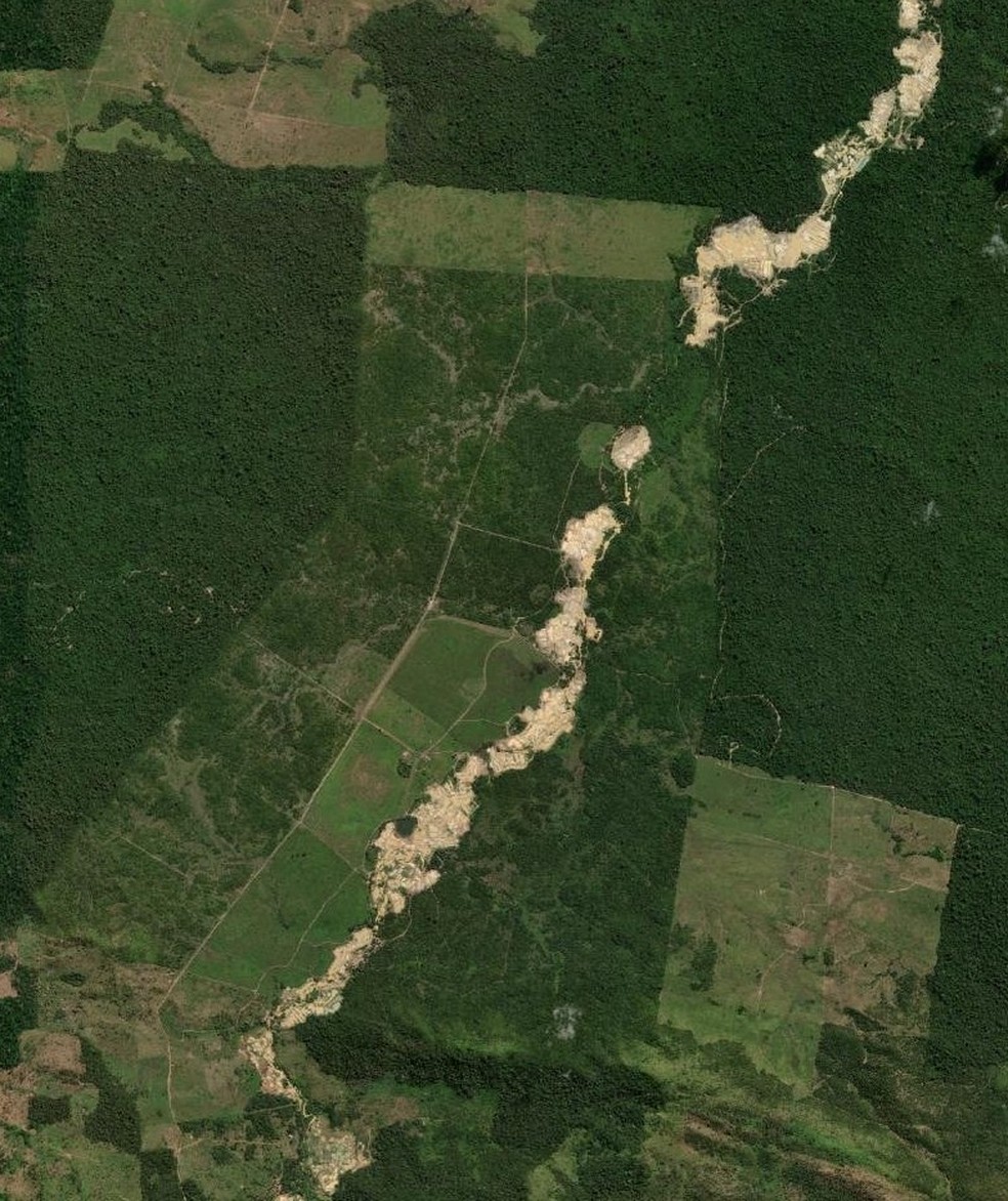 Área devastada seguia uma linha invadindo áreas de reserva — Foto: PF/Divulgação