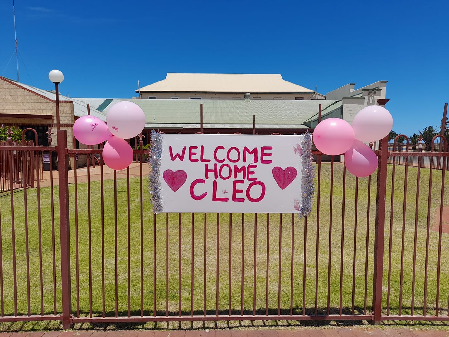 Vizinhos e familiares espalharam placas de boas-vindas a Cleo (Foto: Reprodução/Facebook/Soph Nelson)