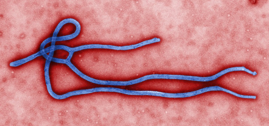O vírus ebola