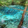 Foto: (Águas de cor 'caribenha' são a atração de Nobres, em Mato Grosso / Nobres Turismo/Divulgação)