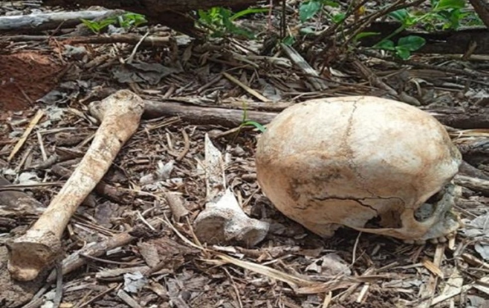 Ossada humana foi encontrada por funcionários de usina em Guaraci  — Foto: Divulgação/Regional24horas 
