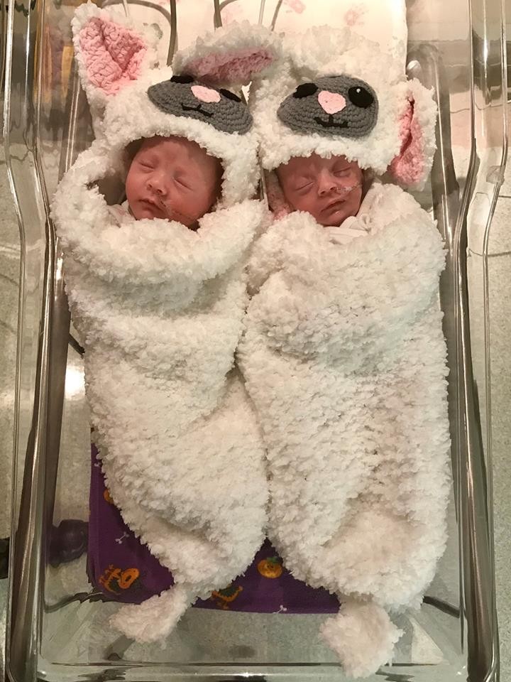 Gêmeos vestidos de ovelha (Foto: Reprodução Facebook)