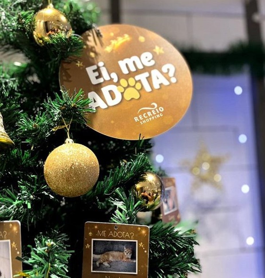 Campanha de Natal: promoções e ações beneficentes dos shoppings estão nos  últimos dias; confira | Barra | O Globo