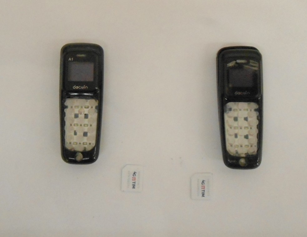 Aparelhos micro celulares e chips apreendidos — Foto: Secretaria da Administração Penitenciária