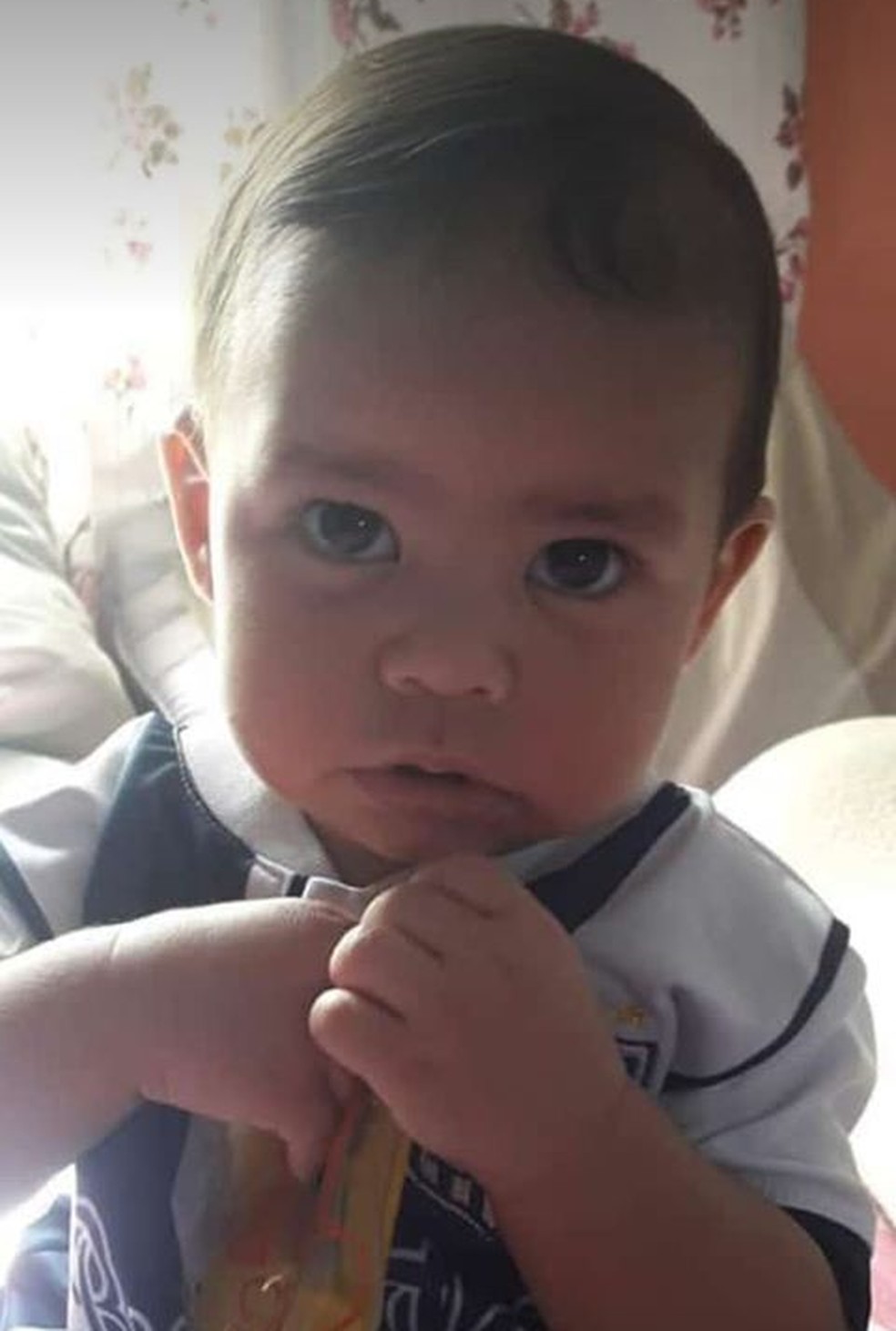 Anthony morreu após socos e mordidas; a mãe e o padrasto foram presos em Praia Grande, SP — Foto: Arquivo Pessoal