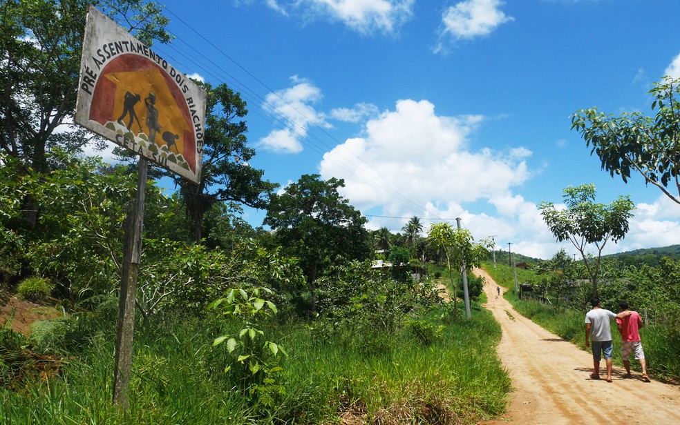 Fazenda Dois Riachões, na Bahia, pertencia a uma grande família de produtores de cacau que não cumpria com os critérios de produtividade impostos pelo governo — Foto: Morgann Jezequel/AFP