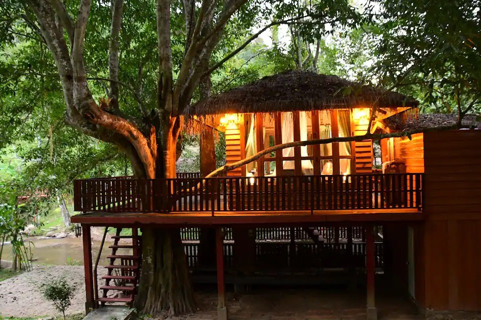 Casa na árvore (Foto: Reprodução Airbnb)