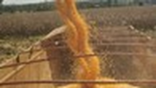 Seca e quebra da safra de milho afetam volumes transportados