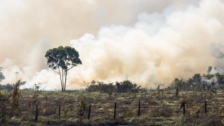 fogo-amazonia-incendio-floresta (Foto: Getty Images)