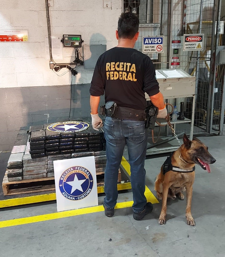 Cão ajuda a localizar 293 kg de cocaína em carregamento de madeira em SC; destino era a Espanha