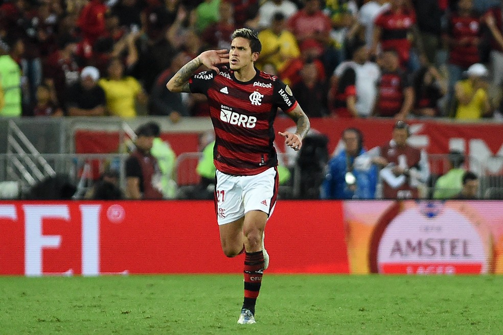 Pedro marca e Flamengo se classifica para a semifinal da Libertadores — Foto: Alexandre Durão
