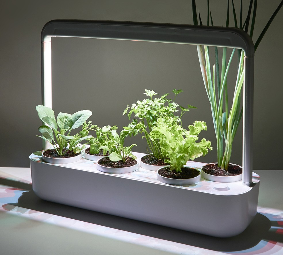 A startup brasileira Yes We Grow oferece kits inteligentes para o plantio dentro de casa de hortaliças, ervas e plantas — Foto: Divulgação
