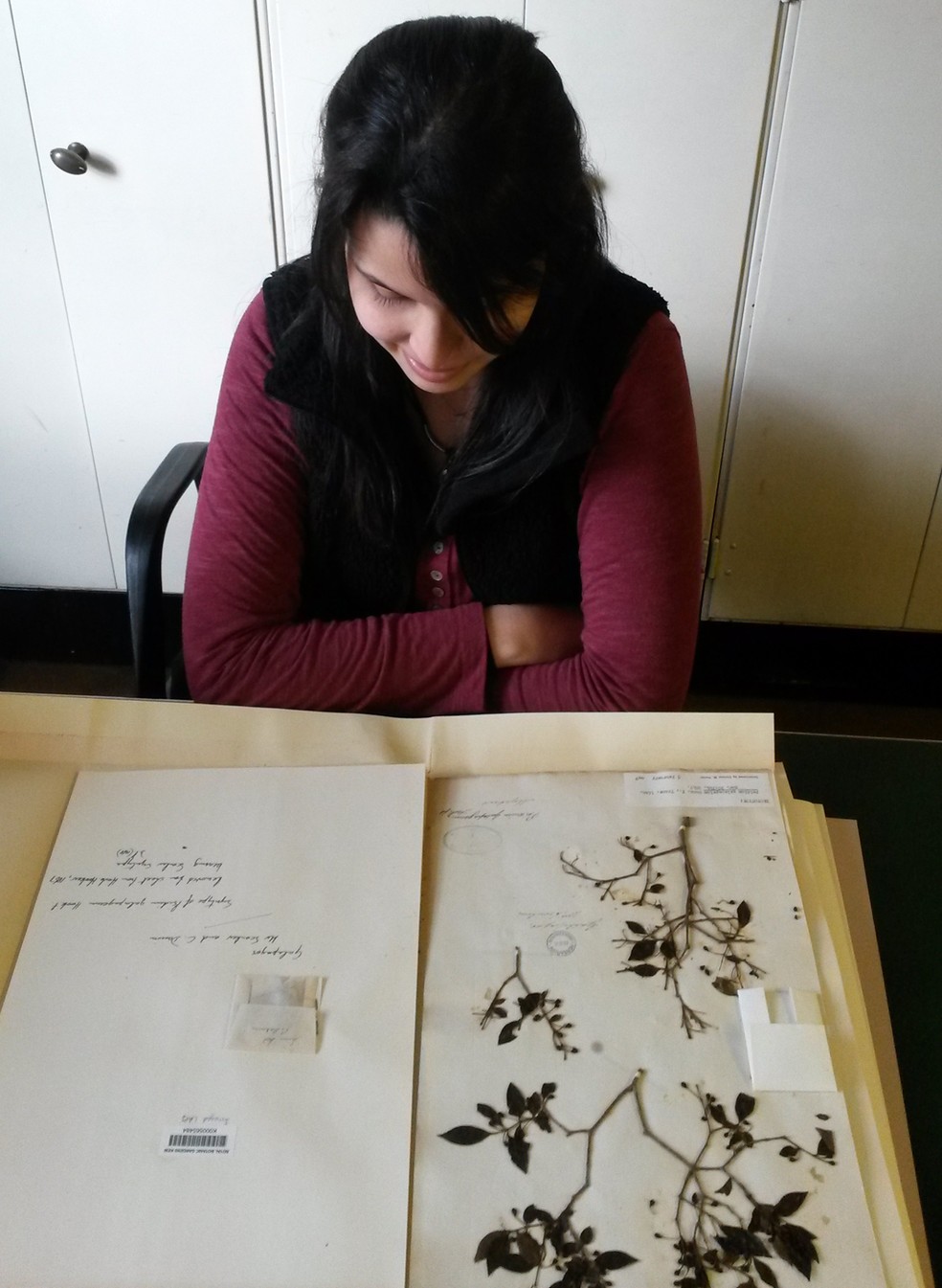 BiÃ³loga mostra espÃ©cies catalogadas (Foto: ThaÃ­s Vasconcelos/Arquivo Pessoal)