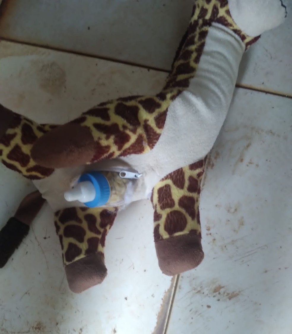 Droga estava escondida em boneco de pelúcia  — Foto: Divulgação/Polícia Civil