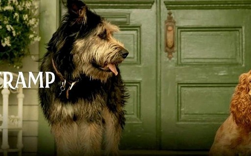Filme live action de 'A Dama e o Vagabundo' tem elenco com cachorros  resgatados