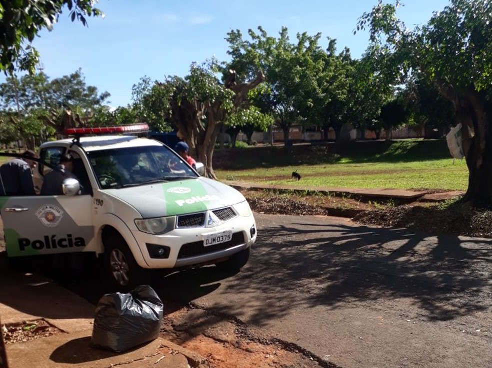 Polícia Militar Ambiental constatou que árvores foram podadas acima do limite permitido, que é de 30% (Foto: Cedida)