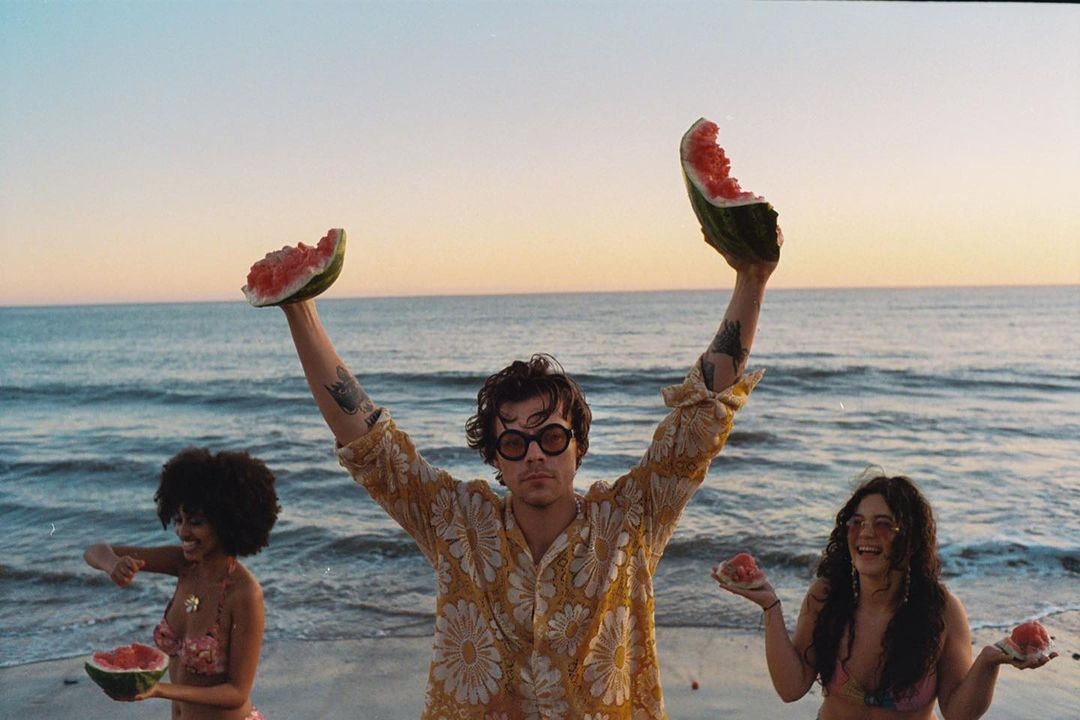 Harry Styles Watermelon Sugar (Foto: Reprodução / Harry Styles)