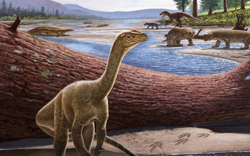 9 cursos e conteúdos online para quem gosta de dinossauros - Revista  Galileu