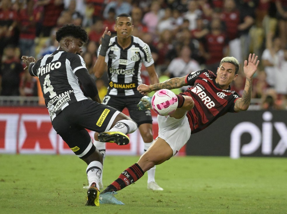Flamengo x Santos: Pedro e Bauermann &mdash; Foto: Andr&eacute; Dur&atilde;o