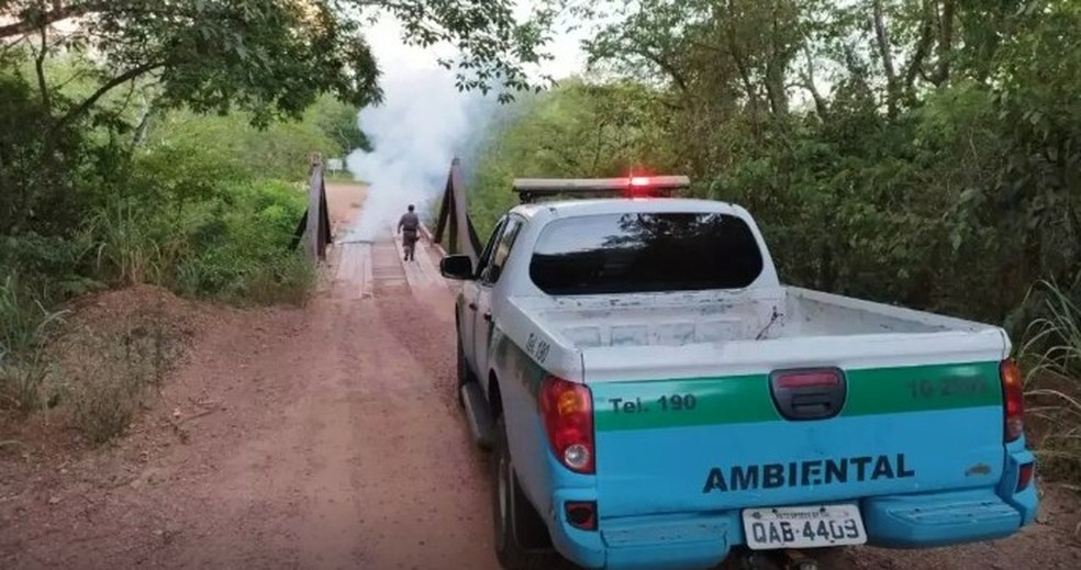 O Corpo de Bombeiros e a Polícia Militar Ambiental foram acionados nas primeiras horas do dia. — Foto: Reprodução/PrefeituraMunicipal