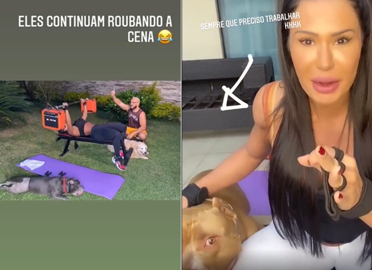 Gracyanne Barbosa tem vídeo invadido pelos cachorros e se diverte (Foto: Reprodução/Instagram)